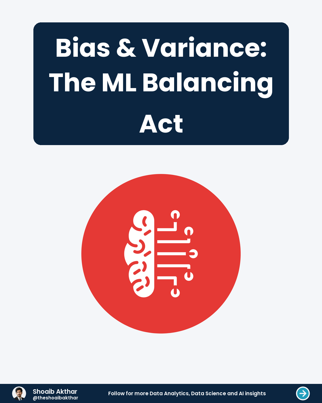 Bias & Variance The ML Balancing Act