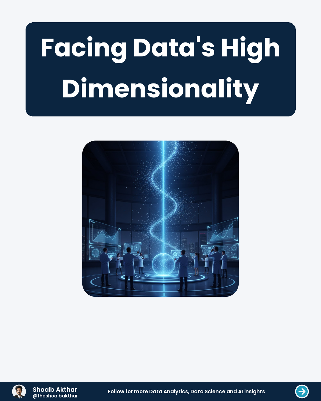 Facing Data's High Dimensionality