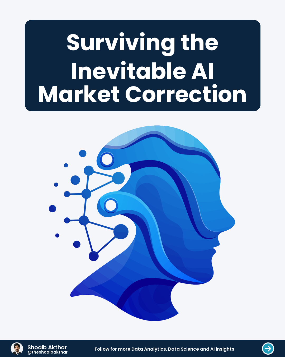 Surviving the Inevitable AI Market Correction